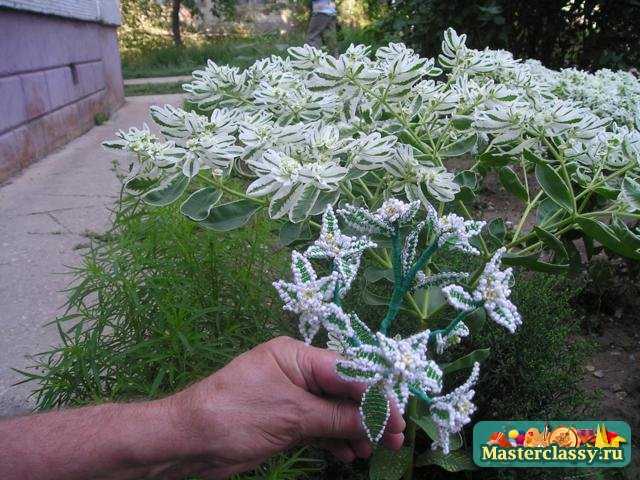 Оригами цветы из конфет Оригами цветы из конфет