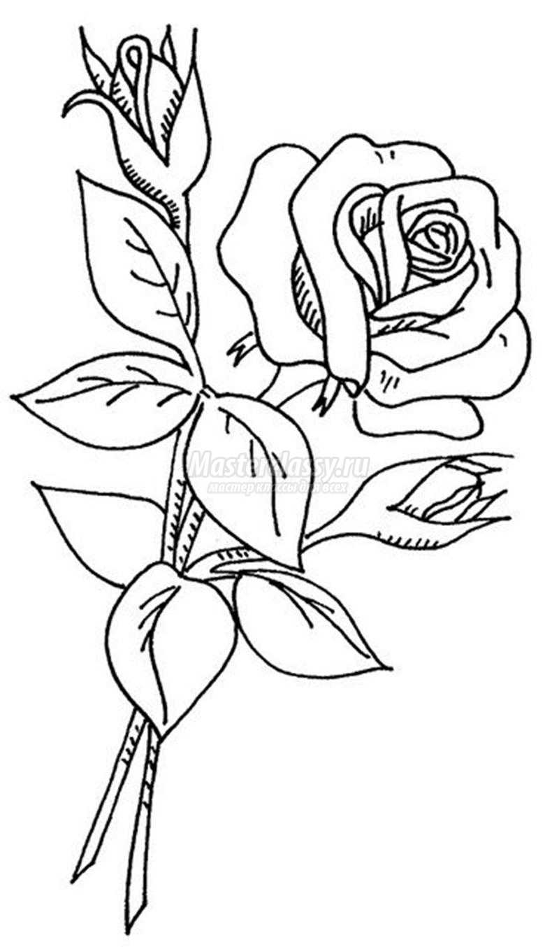 Red Flower Line Drawing : Вышивка лентами для начинающих quot Веточка розы из атласной